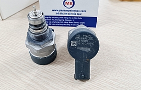 0281006017_Van áp suất nhiên liệu ( DRV)