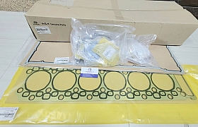 2091052A01 Gioăng đại tu D6GA