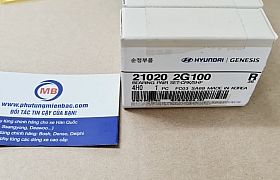 210202G100 Bạc trục cơ Grand Starex,Santafe ,Tucson 2.4 