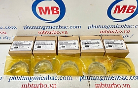 210202R950 Bạc trục cơ (cổ ngoài) Carnival/Sorento/Santafe 2.2 Model 2021-2024