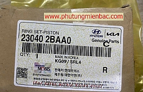 230402BCA0 Xec măng Tucson