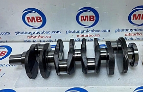 231102F110 Trục cơ Santafe 2.2