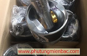 2341187000 Piston D6DB