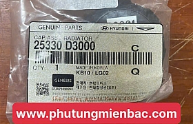 25330D3000 Nắp bình nước phụ Tucson