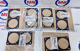 2541984465 Gioăng nắp van hàn nhiệt Space