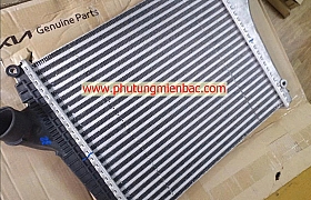 2780048002 Két làm mát turbo Mighty D4GA