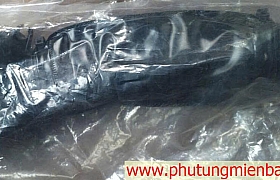 282101Y100 Ống gió vào bầu lọc Morning 2015