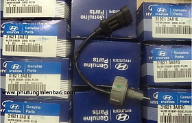 319213A810_Cảm biến báo bẩn đáy lọc nhiên liệu santafe lỗ 6