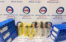 3380084310 Kim phun D6CG 