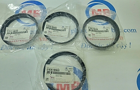 518306B000 Phớt moay ơ trước E-Aerotown