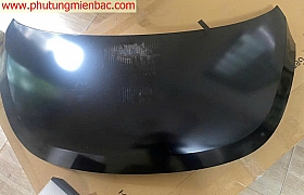 664000X020 Nắp cabo I10