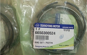 6650300524_Secmang Ssangyong actyon sport