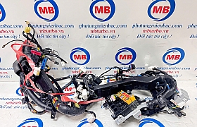 911504F194 Dây điện taplo Porter 133 