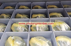 Bơm cao áp động cơ diesel