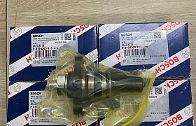 F019D03313 Pit bơm cao áp