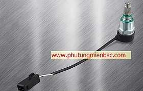 Van đuôi bơm Tata