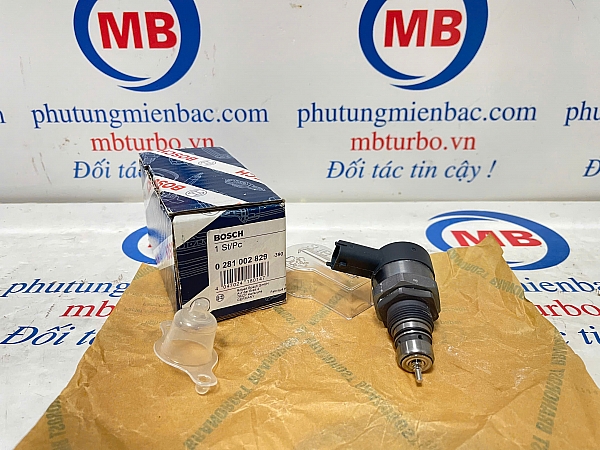 0281002829 Van áp suất nhiên liêu Veracrus