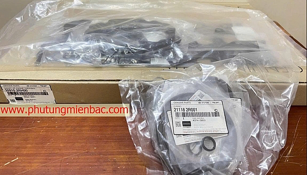 209102RH00 Gioăng đại tu Carnival,Santafe,Sorento 2.2