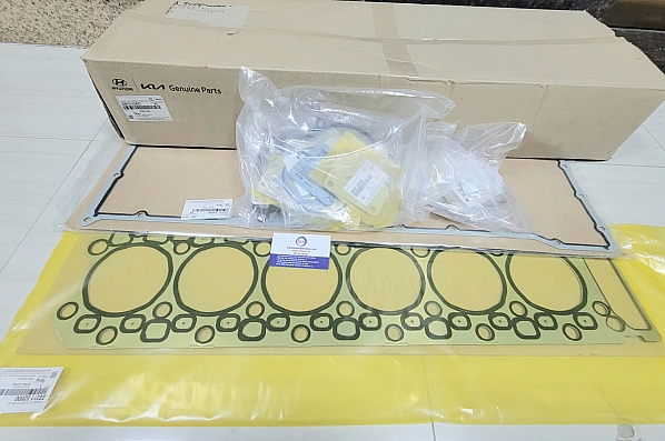 2091052A01 Gioăng đại tu D6GA