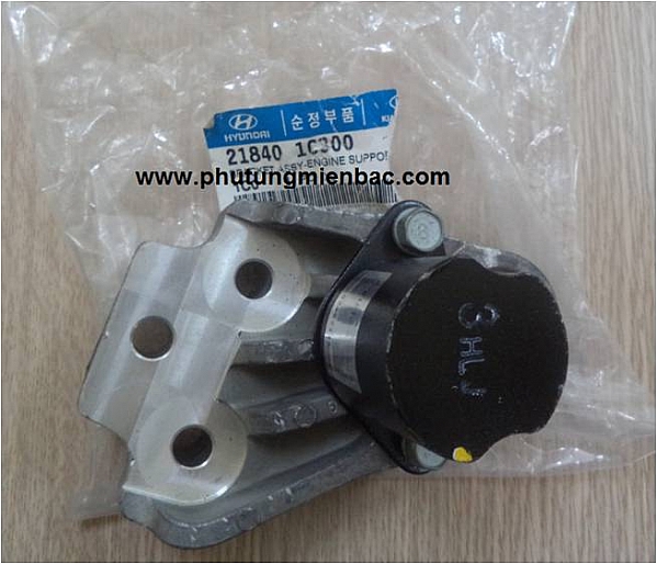 218401C300_Chân máy trước Getz