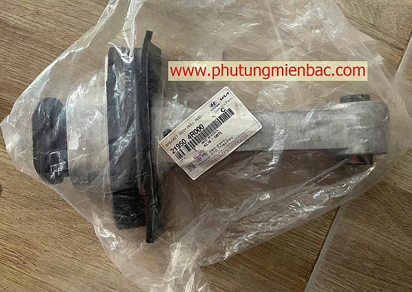 219504R000 Chân máy trước Optima