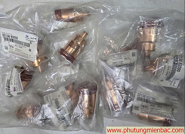 2213882000 Áo đồng kim phun D6CC