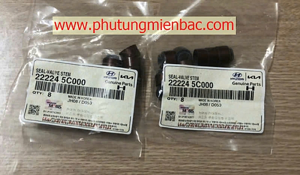 222245C000 Phớt git D4GA