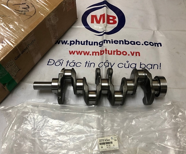231104C000 Trục cơ Mighty EX8