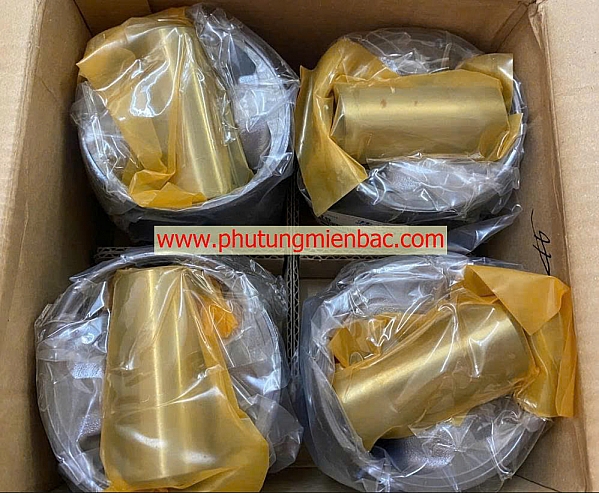 234104A970 Piston Hyundai Solati