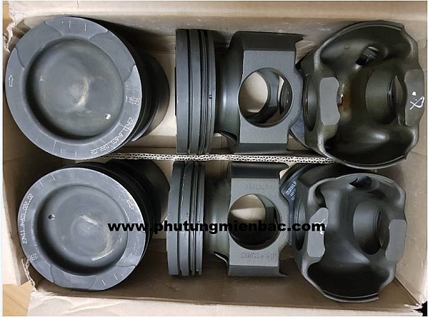 2341184801  Piston D6CC