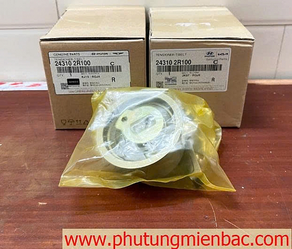 243102R100 Bi tăng curoa cam Carnival ,Sorento,Santafe 2.2