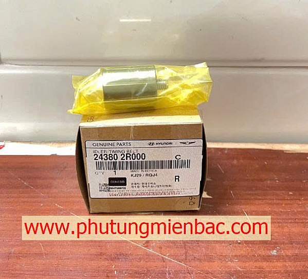 243802R000 Bi tỳ dây curoa cam Carnival ,Santafe,Sorento 2.2