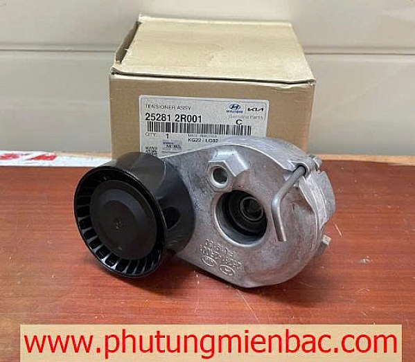 252812R001 Bi tăng tổng Carnival,Sorento,Santafe