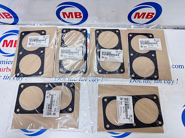 2541984465 Gioăng nắp van hàn nhiệt Space