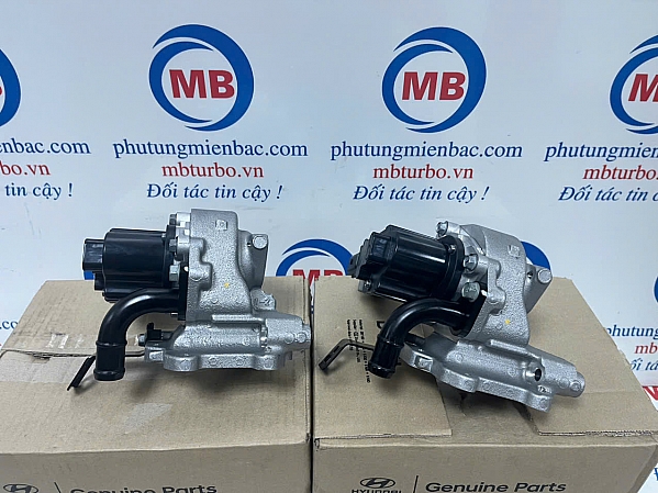 284104C100  Van tuần hoàn khí xả Mighty EX8