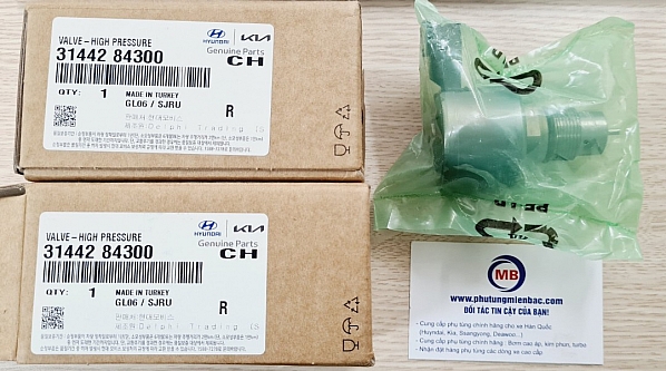 3144284300_Van áp suất thanh rail nhiên liệu D6CG