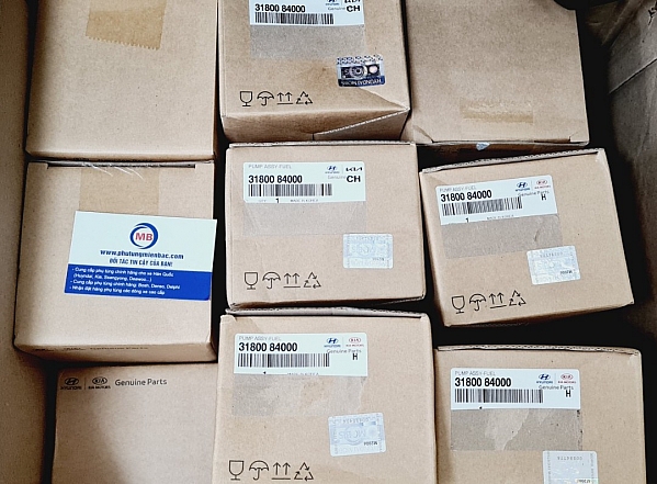 3180084001_Bơm cấp dầu kim phun D6CA/D6CB