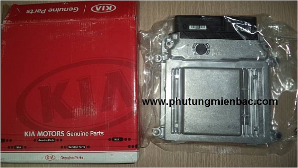 391242B090_Hộp đen xe Kia Cerato