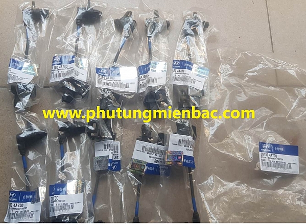 391804A700_Cảm biến trục cơ Solati