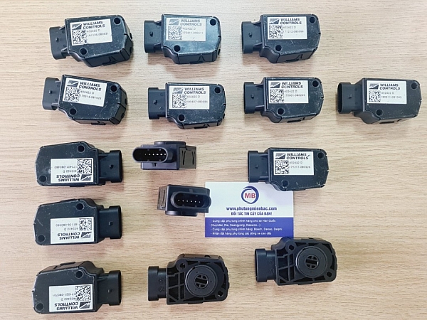 402422D Cảm biến chân ga Wechai