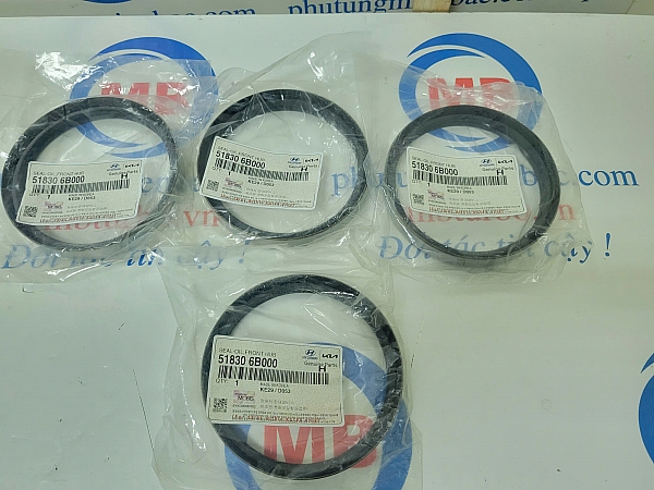 518306B000 Phớt moay ơ trước E-Aerotown