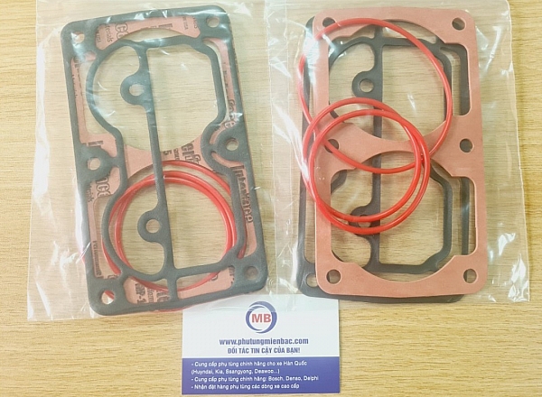 65996018077 Gioăng bơm hơi Novus