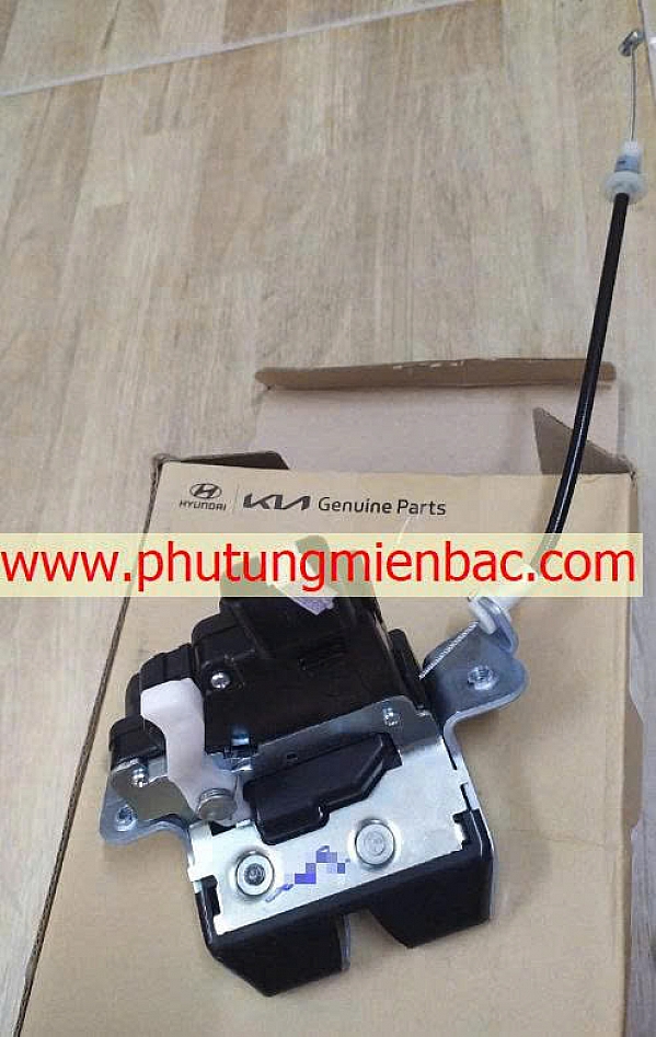 81801S1100 Khóa ngậm cửa hậu Palisade