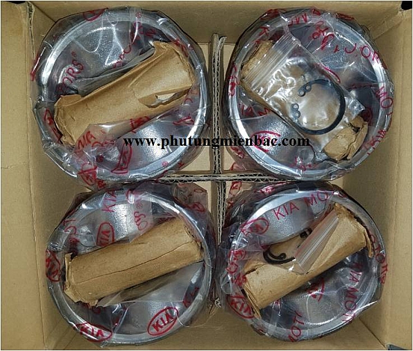 Bộ piston Kia K3000 JT